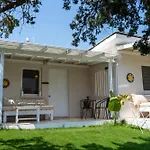 Lilium * Çeşme